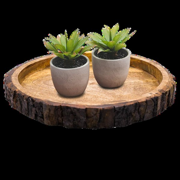 Wooden Serving Tray